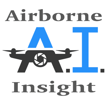 Airborne Insight LLC logo