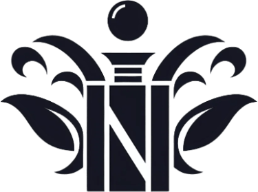 Napix Shop logo