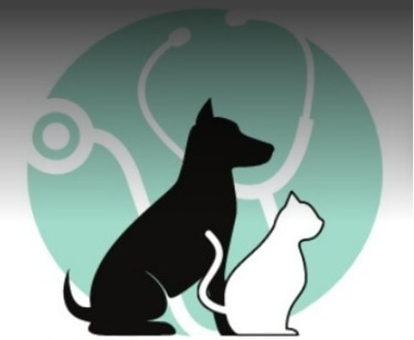 Ultrassom Veterinário Volante - São Sebastião logo