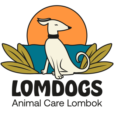 Shelter For Lombok Dogs logo
