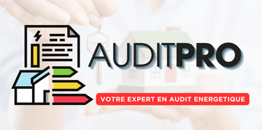 Audit Pro Expertise logo