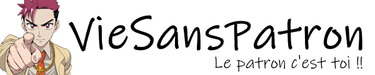 Vie Sans Patron logo