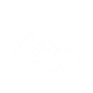 Bárbara Contarini - Comportamentalista canina logo