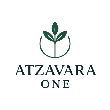 ATZAVARA ONE logo