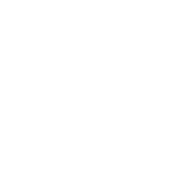The Old Grain Silo logo