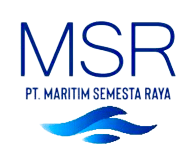 MSR logo