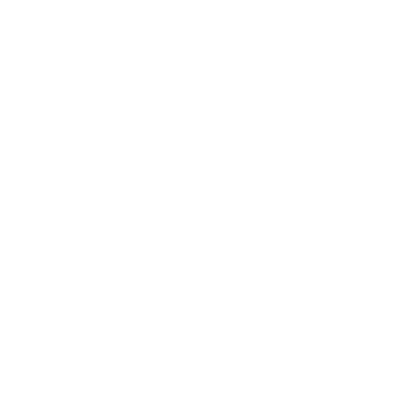 A2 VIDEO logo