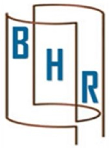 bhresearch-nmrprobe logo