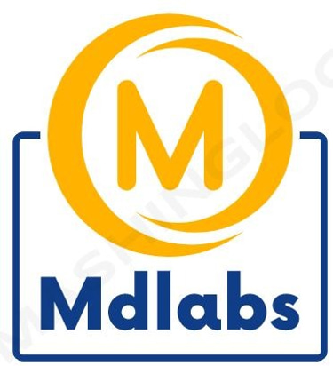 The Mdlabs - SAP Remote Server & System Access logo