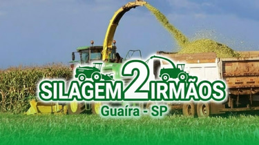 Silagem Dois Irmãos Guaíra-SP logo