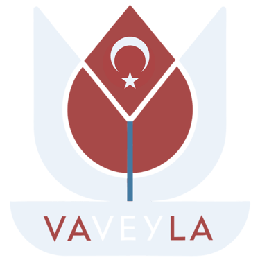 Vaveyla logo