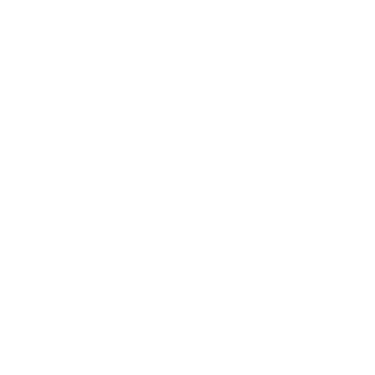 Leonzenational logo