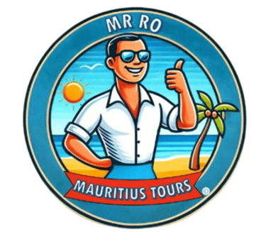AIR DAY TOURS logo