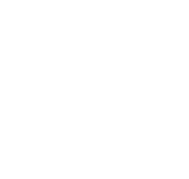 Smart Tax Advisors logo