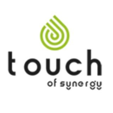 Touch of Synergy logo