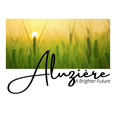 aluziere logo