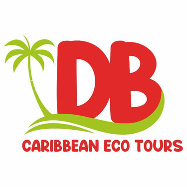 Db Caribbean Eco Tours logo