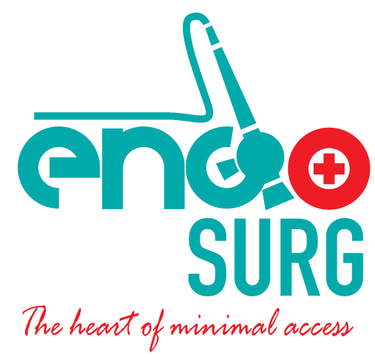 ENDOSURG SOLUTIONS LIMITED logo