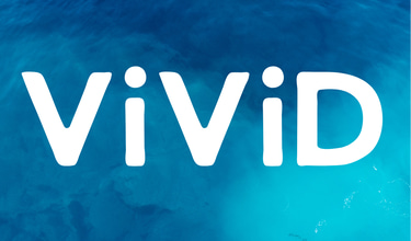 Vivid Clean logo