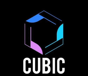 CUBIC MERCHANDISING logo