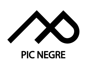 PIC NEGRE logo