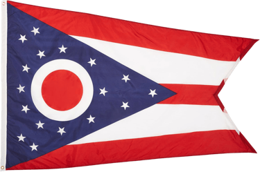 Campaign Finance Report form filler logo