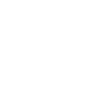FLVRUN logo