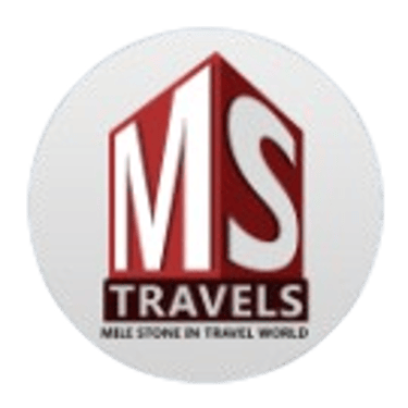 M S Tour And Travels logo