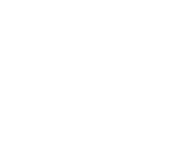 Sofiane Essaid logo