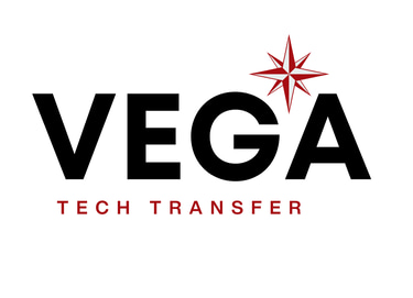 Vega strategy and innovation compass logo