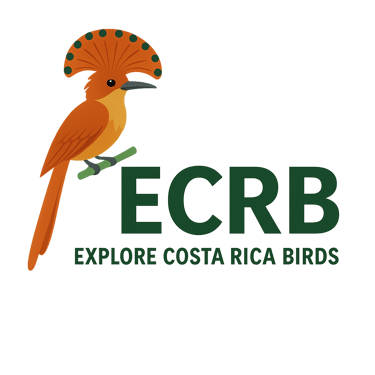 ECRBirds logo