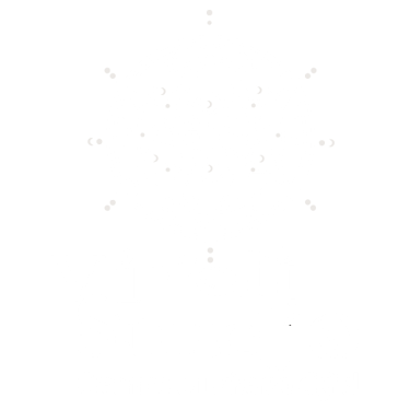 VIRALI STUDIO logo