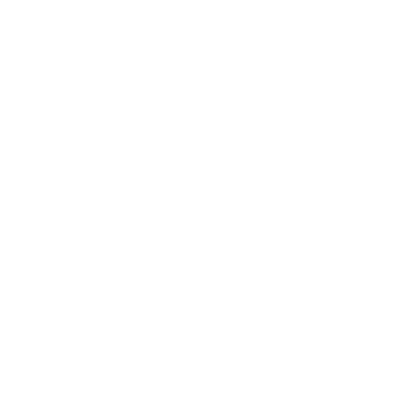 Let's Travel Together logo