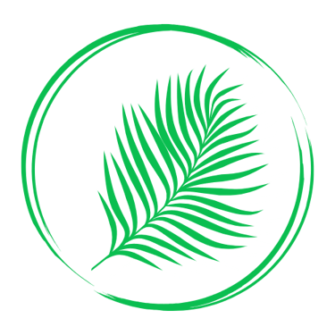 PALME MEDICAL logo
