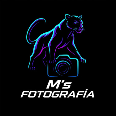 Ms Fotografia logo