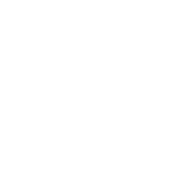 Fabian Piñeros Fotografía logo