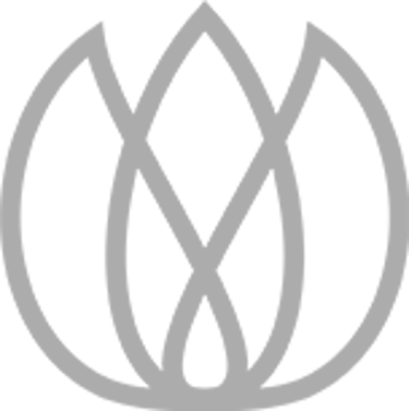 Tulipa Editing - Tratamento de imagens logo