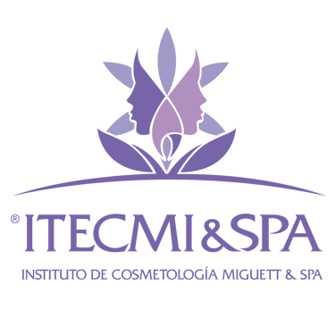 Itecmi Spa logo
