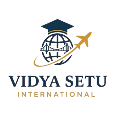 Vidya Setu International Pvt. Ltd. logo