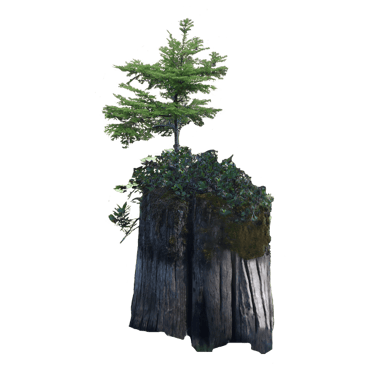 Resilience - Sylviculture et Reboisement  logo