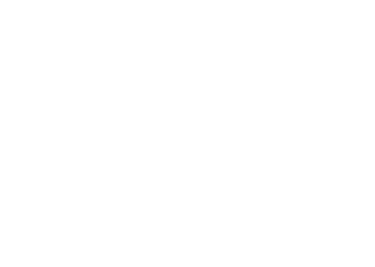 Nam Pesesse logo