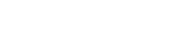 Webdiz logo