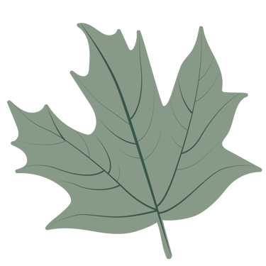 Studio Érable - graphiste au Pays Basque logo