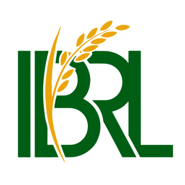 INDIA BASMATI RICE LAND logo