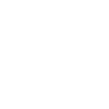 Counting borders logo