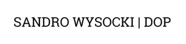 sandrowysocki logo