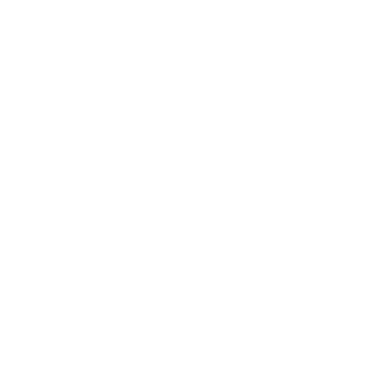 Xperiensys logo
