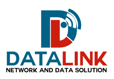 www.datalinknetworkanddatasolution.com logo