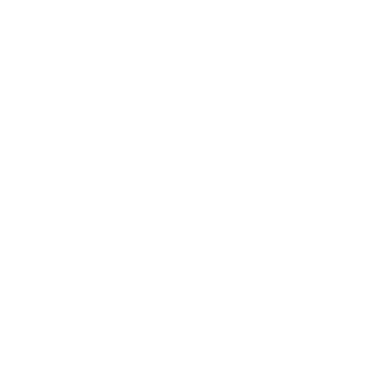 Money Summary logo