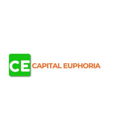 Capital Euphoria Management Consultant Pvt. Ltd logo